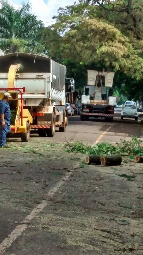 Meio Ambiente poda árvores e limpa fundos de vales